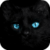 Blue Eyes Cat Live Wallpaper icon