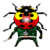 adventure super beetle icon