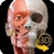 Sistema Muscolare Anatomia 3D original icon
