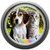 Dogs and Cats Ringtones icon