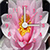Lotus Alarm Clock and Flashlight app for free