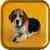 Beagle Puppy Live Wallpaper icon