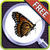 EyeSpy Butterfly Difference Game icon