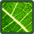 Herbs Encyclopedia app for free