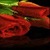 Red Roses Lwp icon