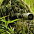 Sniper in the Bush Live Wallpaper icon