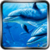 Adventure Dolphin FREE icon