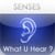 Senses - What U Hear? icon