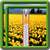 Zipper Lock Screen Daffodil icon