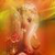 Ganeshaa Live Wallpapers icon