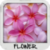 Flower Wallpapers by Nisavac Wallpapers icon
