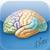 Netter's Neuroscience Flash Cards icon