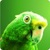 Green Parrot Live Wallpaper icon