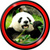 Free Panda Live Wallpapers icon