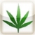 Marijuana App (for Medicinal purposes) icon