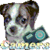 Camera Dog icon