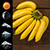 Banana Weather Widget app for free