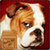 Bulldogs Live Wallpaper icon