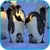 Penguins HD Video Live Wallpaper icon