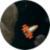Asteroilds icon