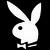 Playboy Cover icon
