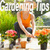  Gardening Tips icon