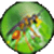 Weird Insects icon
