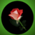 Most Beautiful Red Flowers icon