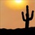 Sunset with Cactus Live Wallpaper icon