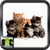 Pictures Of Cats icon