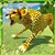 Wild Cheetah Angry Simulator icon