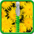 Dandelion Zipper Lock Screen Free icon