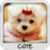 Cute Wallpapers by Nisavac Wallpapers icon