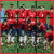 Chile Worldcup Picture Puzzle icon