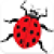 Escape From Beetle icon