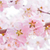 Sakura Live Wallpapers Free icon
