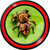 Spider Live Wallpapers Free icon