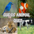 Guess The Animal Names icon