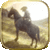 Horse Simulator Cowboy Rider icon