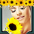 Sunflower Photo Collage icon