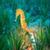 Gold Seahorse Live Wallpaper icon