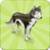 Forest Animale Memory Game Free icon