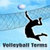 Volleyball Terms Lite icon