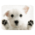 Cute Puppy FREE icon