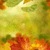 Leaves Falling Live Wallpaper icon