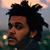 The Weeknd Live Wallpaper 2 icon