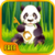 Panda Key icon