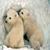Cute Little Polar Bears Live Wallpaper app for free