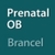 PrenatalOB (Brancel) icon