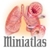 Miniatlas Asthma icon